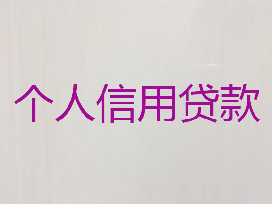 兴化贷款公司-银行信用贷款